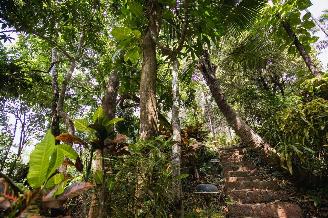 Casa Susegad Hotel Madgaon Ngoại thất bức ảnh